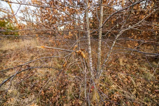 $329,500 | Northwest B Highway, Urich, MO 64788