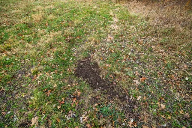 $329,500 | Northwest B Highway, Urich, MO 64788