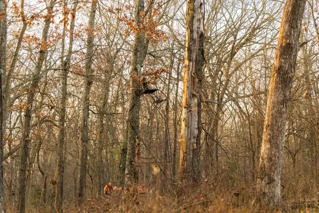 $329,500 | Northwest B Highway, Urich, MO 64788