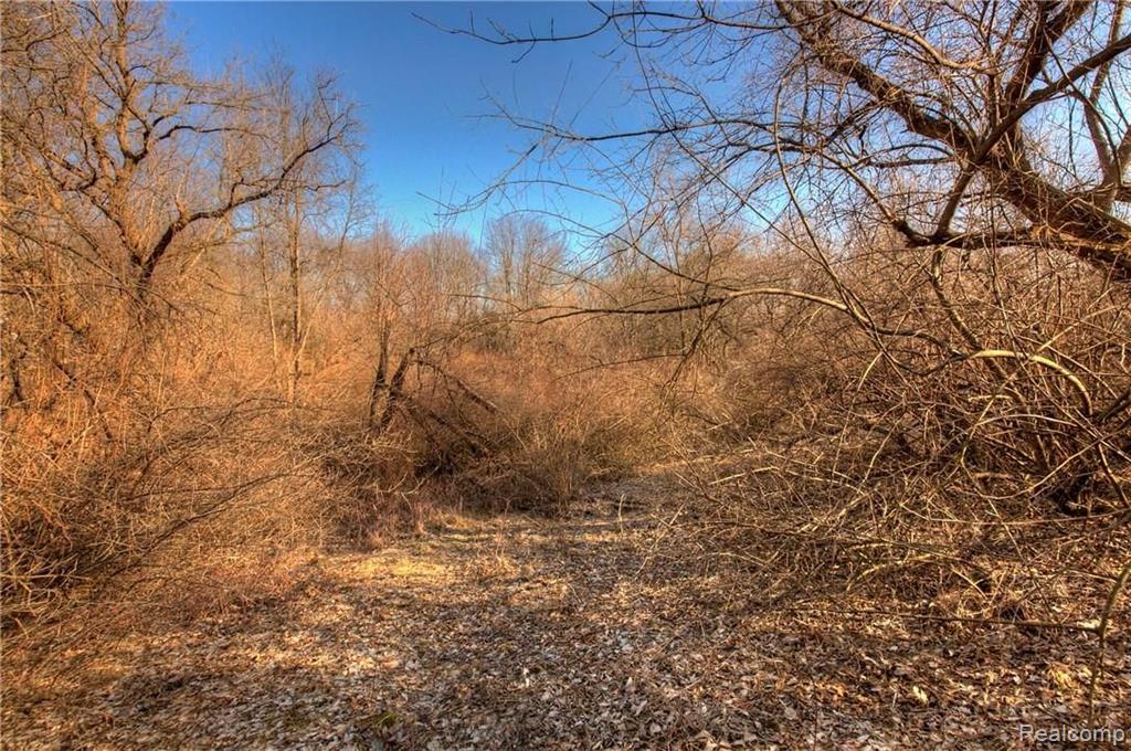 0 King Road Howell, MI 48843 - Photo 11 of 35