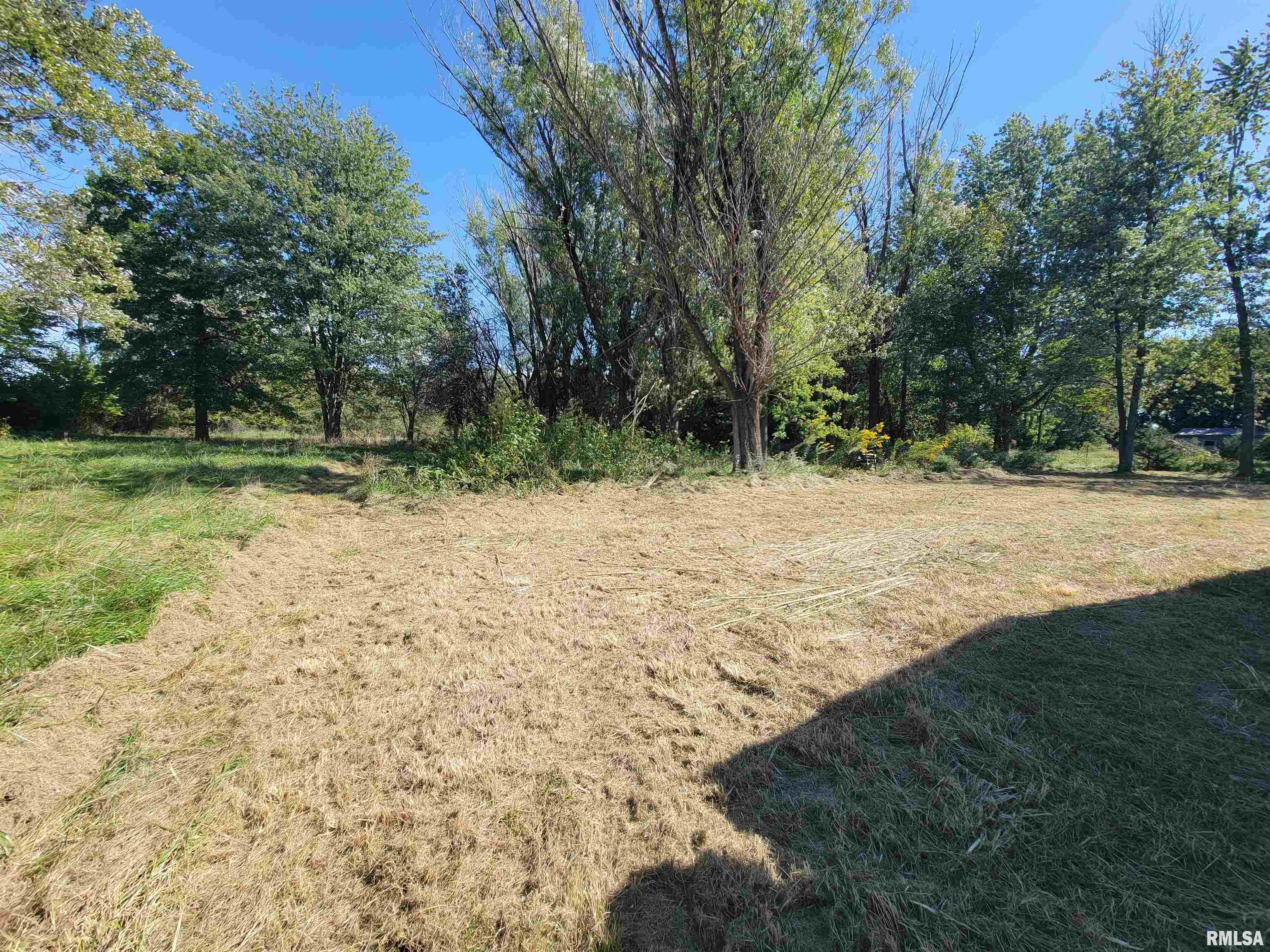 458 South John Wayne Road Dawson, IL 62520 - Photo 4 of 25 Gallery Image 4
