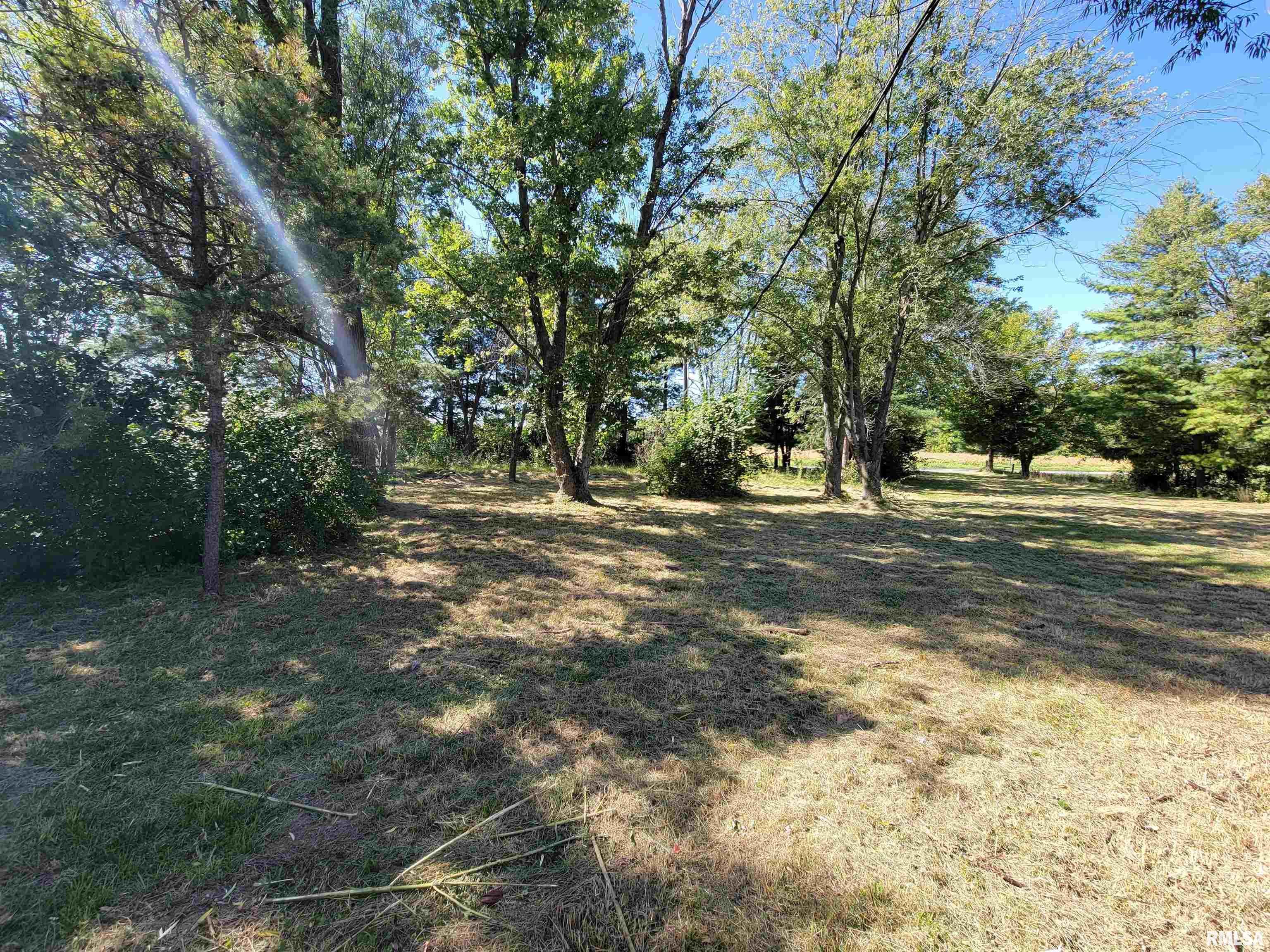 458 South John Wayne Road Dawson, IL 62520 - Photo 5 of 25 Gallery Image 5