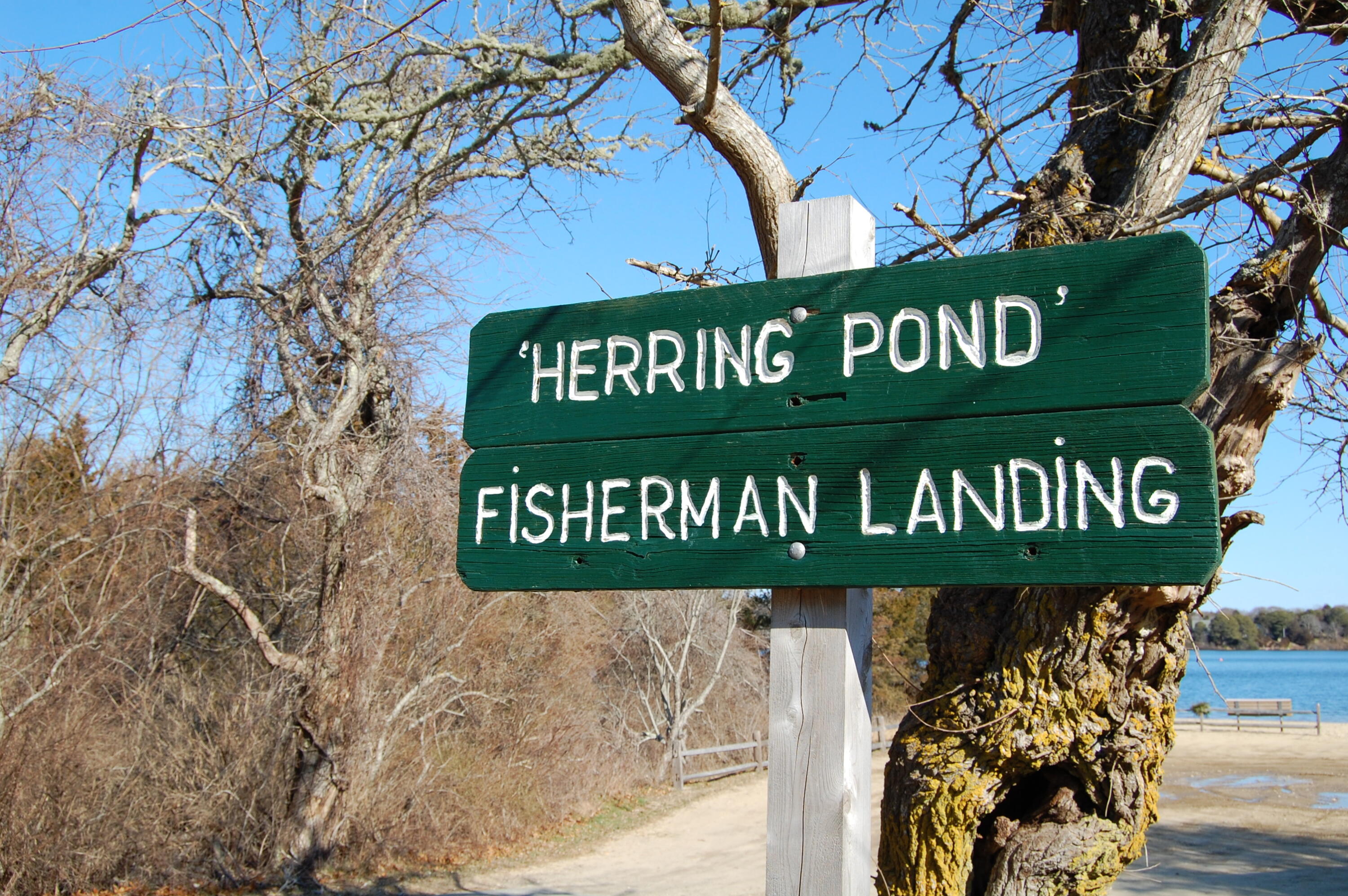 1325 Bridge Road Eastham, MA 02642 - Photo 27 of 32 Herring Pond Landing