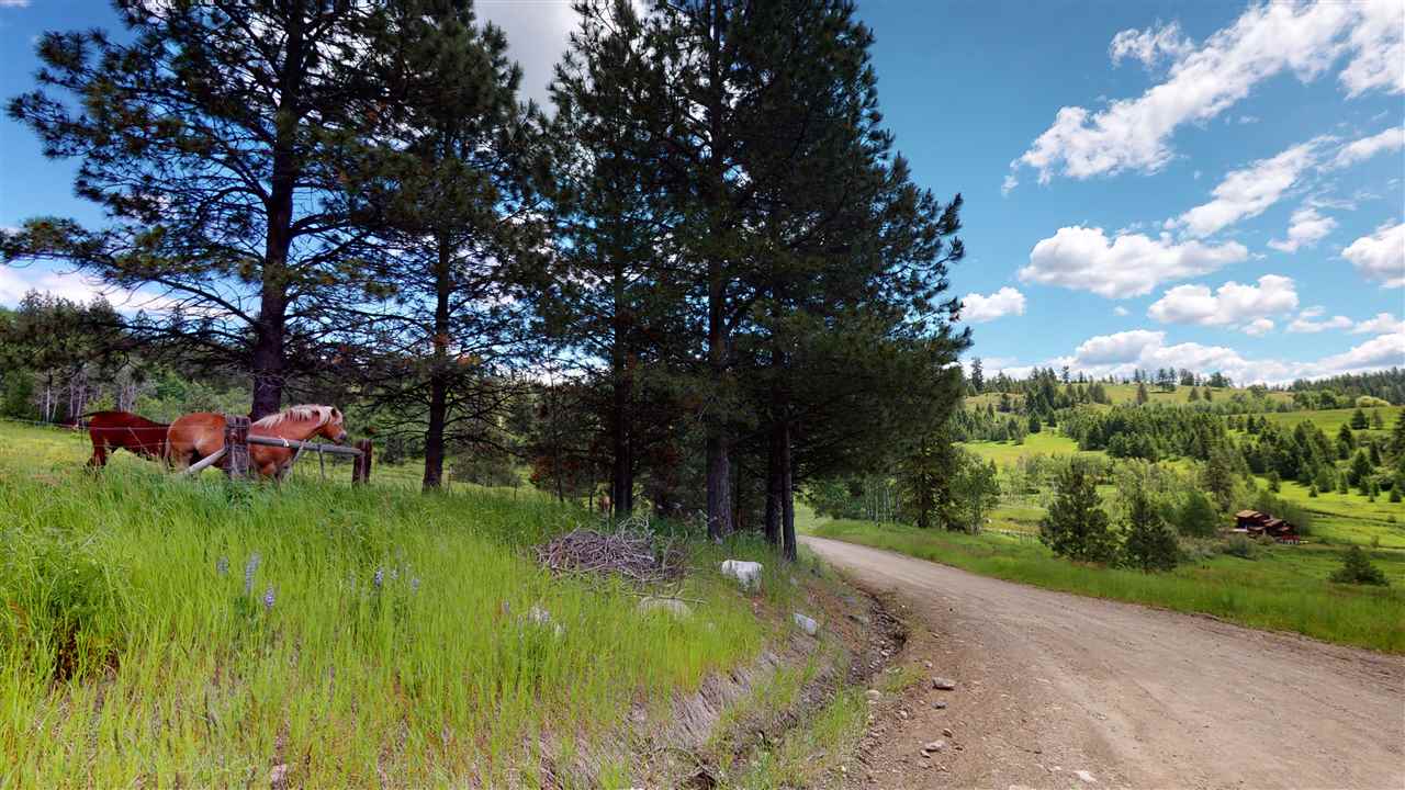 252 Rose Valley Road Republic, WA 99166 - Photo 6 of 20 Gallery Image 6