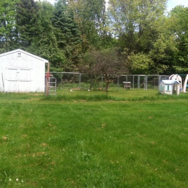 4101 Jackson Road Saranac, MI 48881 - Photo 14 of 22 photo 3 (2)