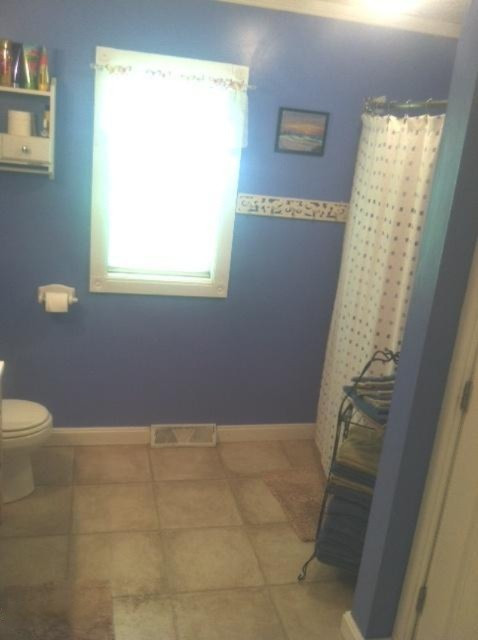4101 Jackson Road Saranac, MI 48881 - Photo 8 of 22 bathroom
