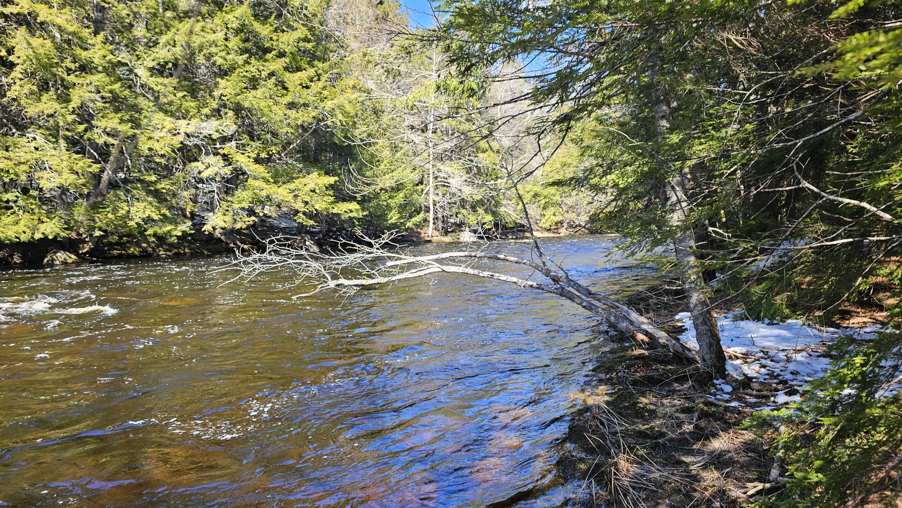 Lot #92 Smith Road Ellsworth, ME 04605 - Photo 13 of 18 Union River