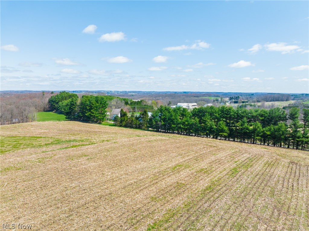 9050 Freeman Road Lisbon, OH 44432 - Photo 50 of 50