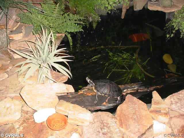 12286 Welling Hall Road Doswell, VA 23047 - Photo 23 of 24 Exterior Front - Timmy the turtle lives in the Koi