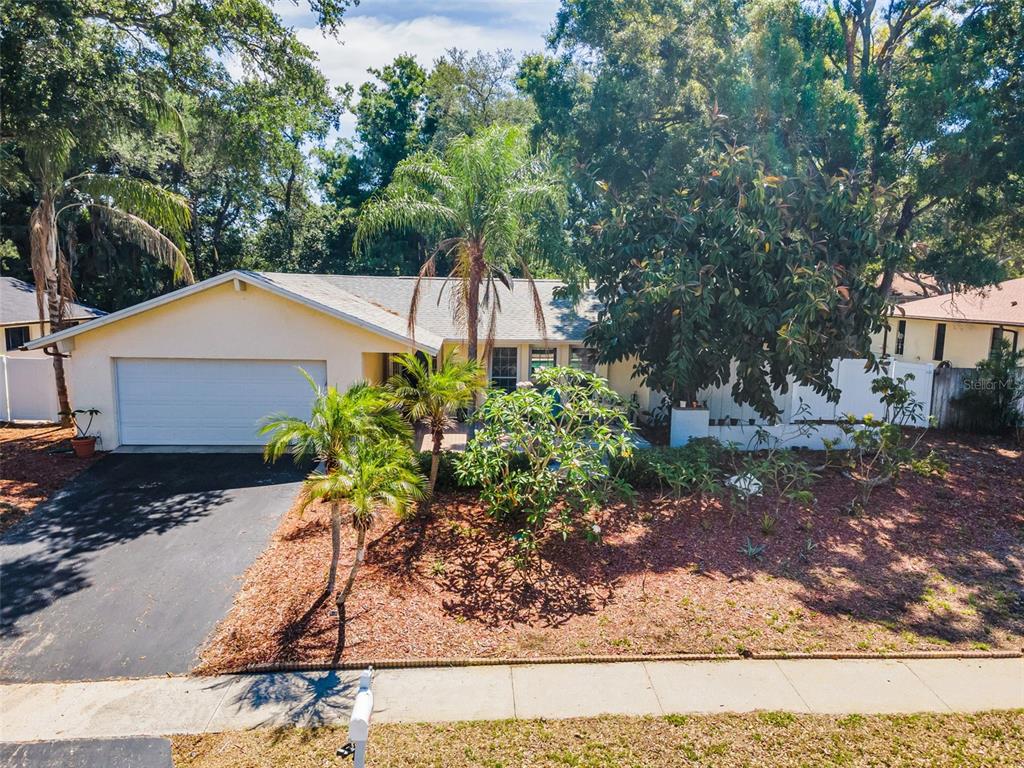 520 Sandy Hook Road Palm Harbor, FL 34683 - Photo 41 of 76