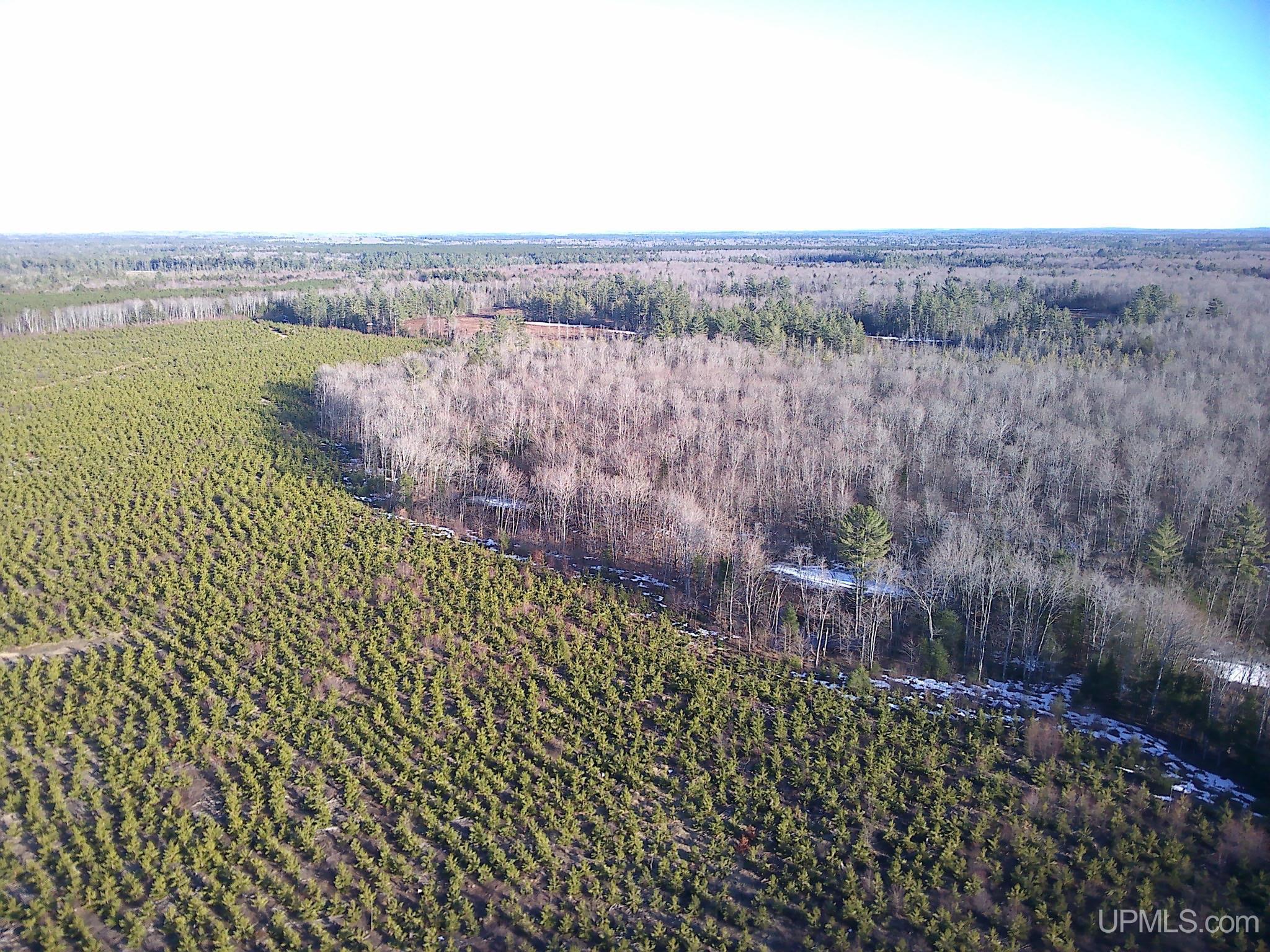 2 16 Mile Lake Road Au Train, MI 49806 - Photo 4 of 7