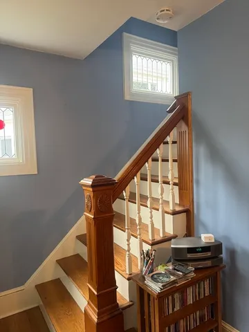 a view of a potted plant in a room