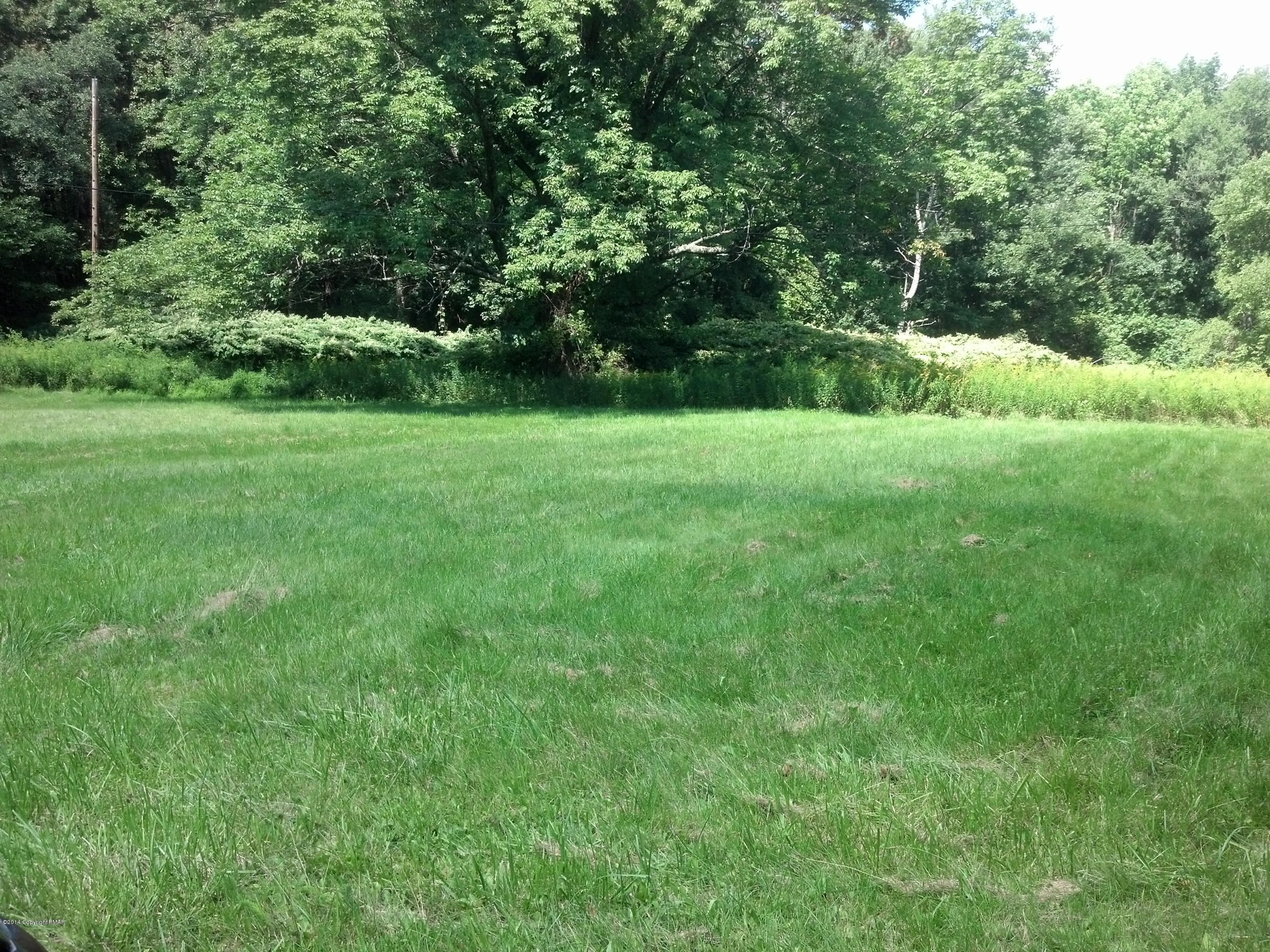 119 Stadden Road Stroudsburg, PA 18360 - Photo 3 of 14 Flat Yard