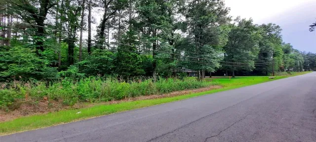 a view of a park with large trees