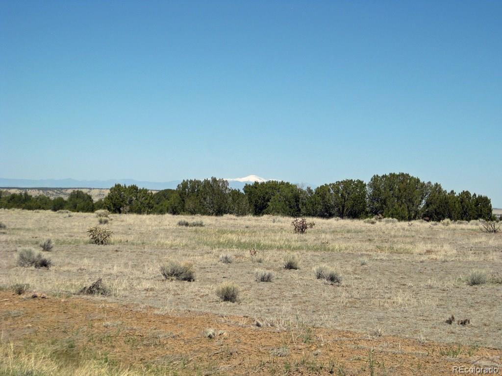 Lot 53 Turkey Ridge Ranch Walsenburg, CO 81089 - Photo 6 of 27
