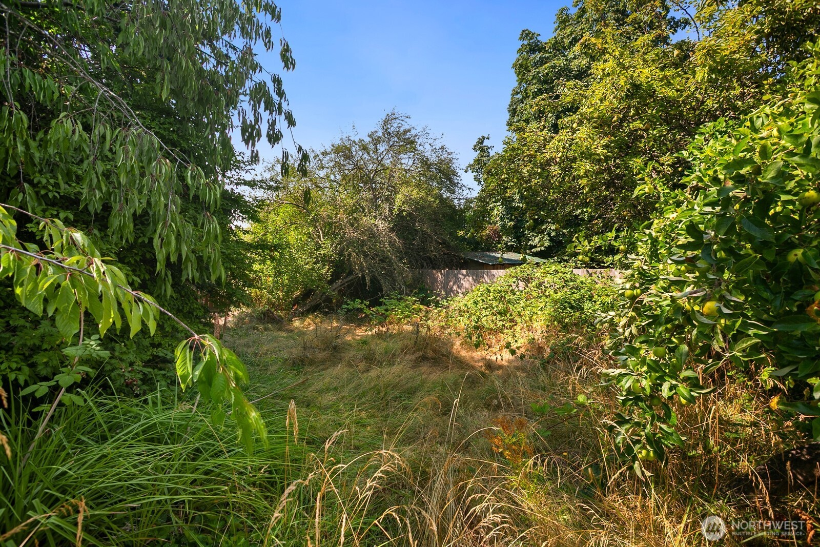 12641 Southeast 169th Place Renton, WA 98058 - Photo 19 of 19 Gallery Image 19