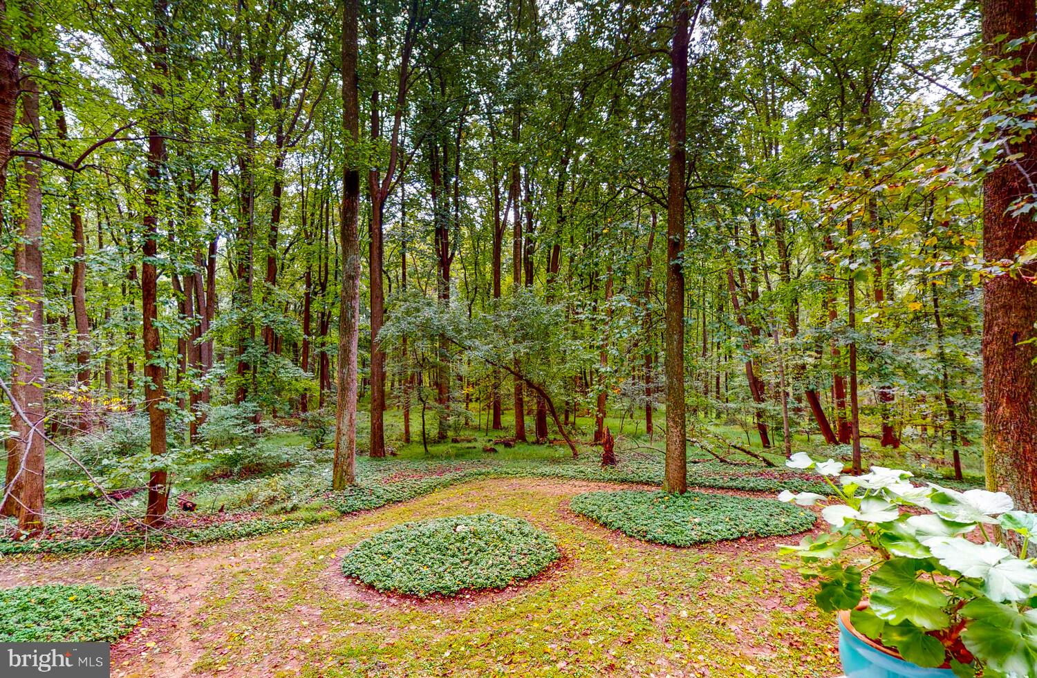 12893 Eagles View Road Phoenix, MD 21131 - Photo 36 of 47 Gallery Image 36
