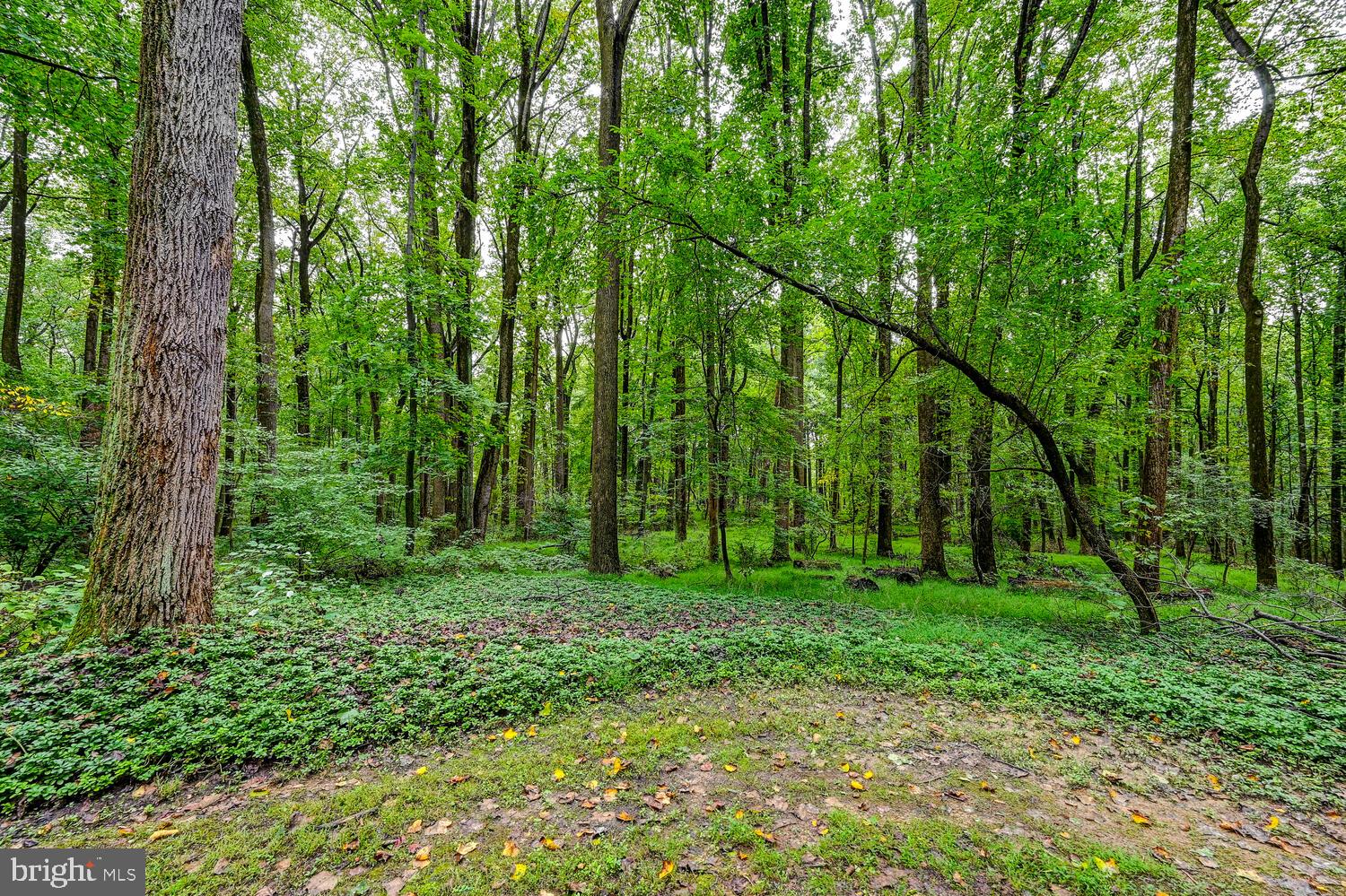 12893 Eagles View Road Phoenix, MD 21131 - Photo 40 of 47 Gallery Image 40