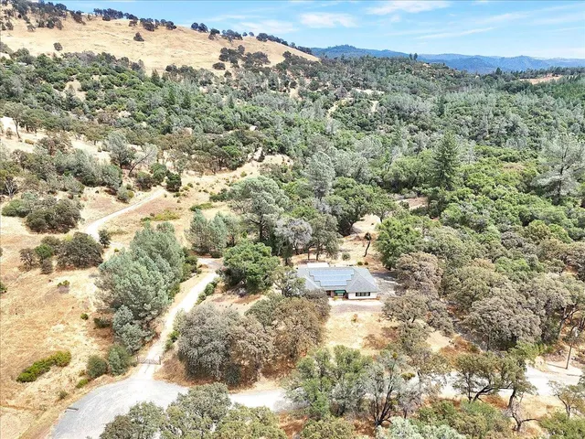 a view of a yard with a tree
