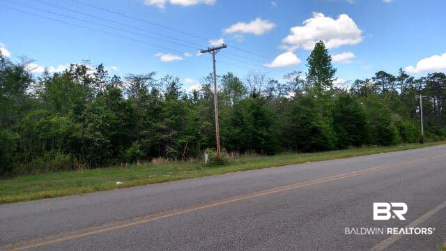 0 County Road 68 Loxley, AL 36551 - Photo 1 of 6
