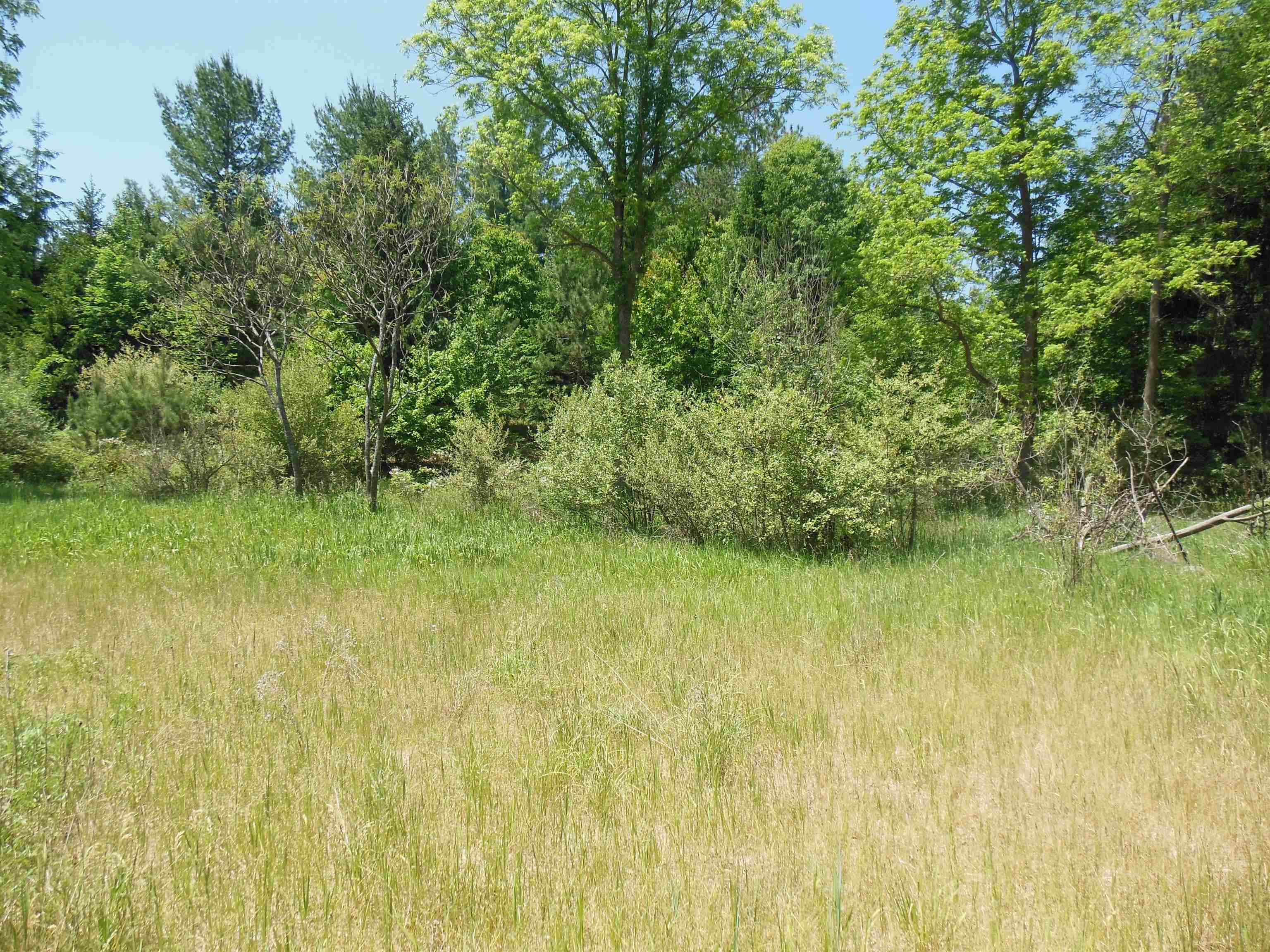 10-acres East Stockwell Road Gladwin, MI 48624 - Photo 11 of 19 Gallery Image 11