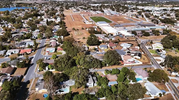 a picture of flowers