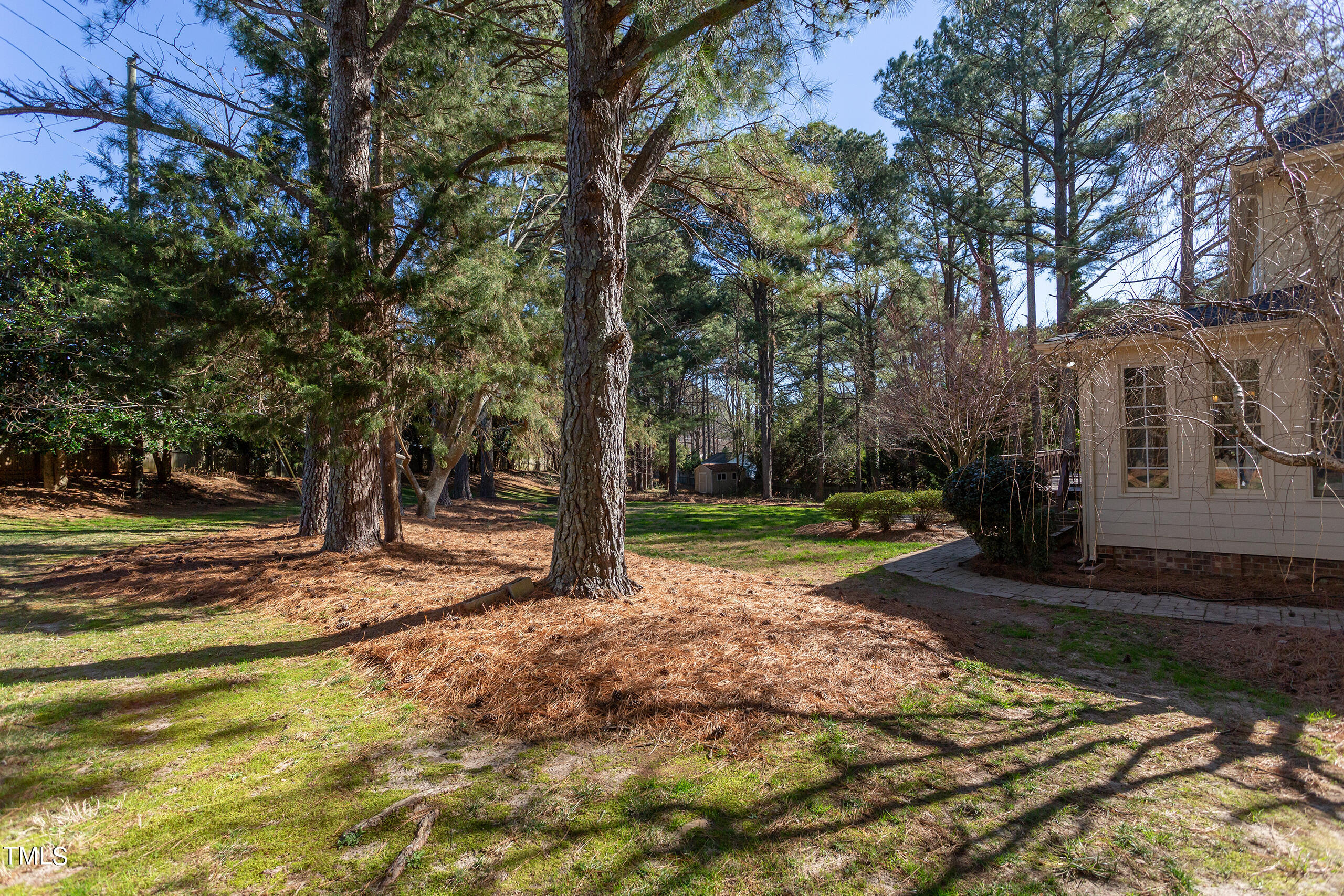 737 Loch Highlands Drive Raleigh, NC 27606 - Photo 70 of 85 a view of a yard with plants and trees