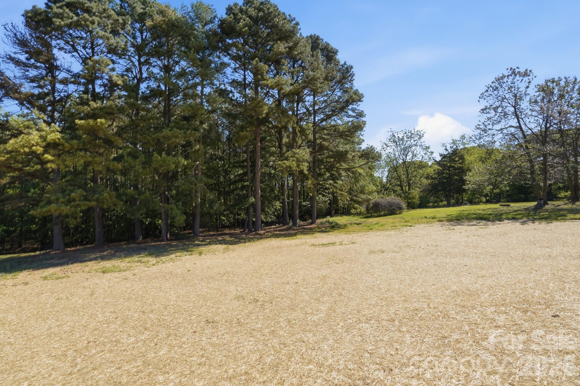 339 Peachtree Road Rock Hill, SC 29730 - Photo 36 of 39 a view of a yard with a tree