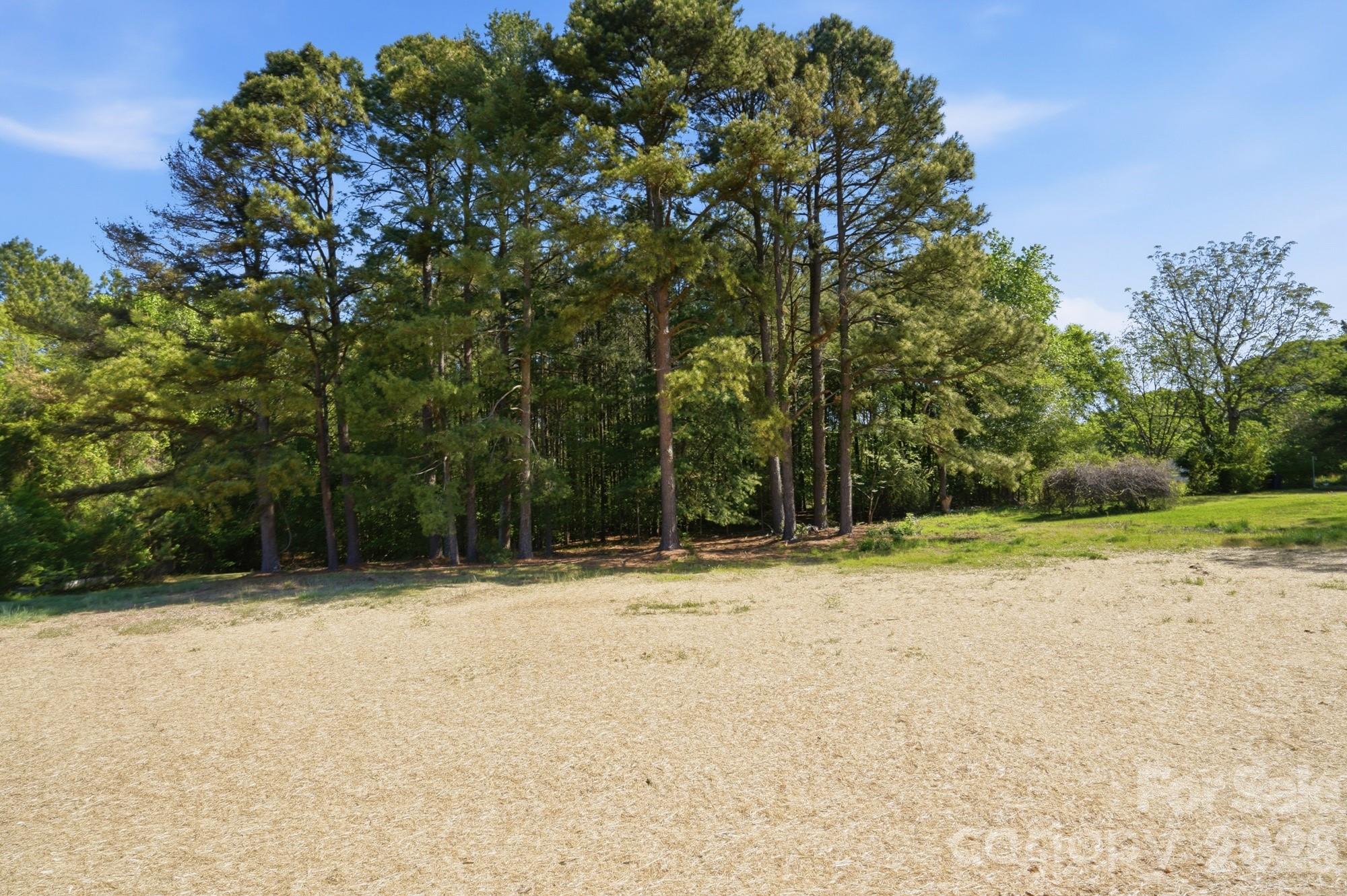 339 Peachtree Road Rock Hill, SC 29730 - Photo 37 of 39 a view of a backyard of a house