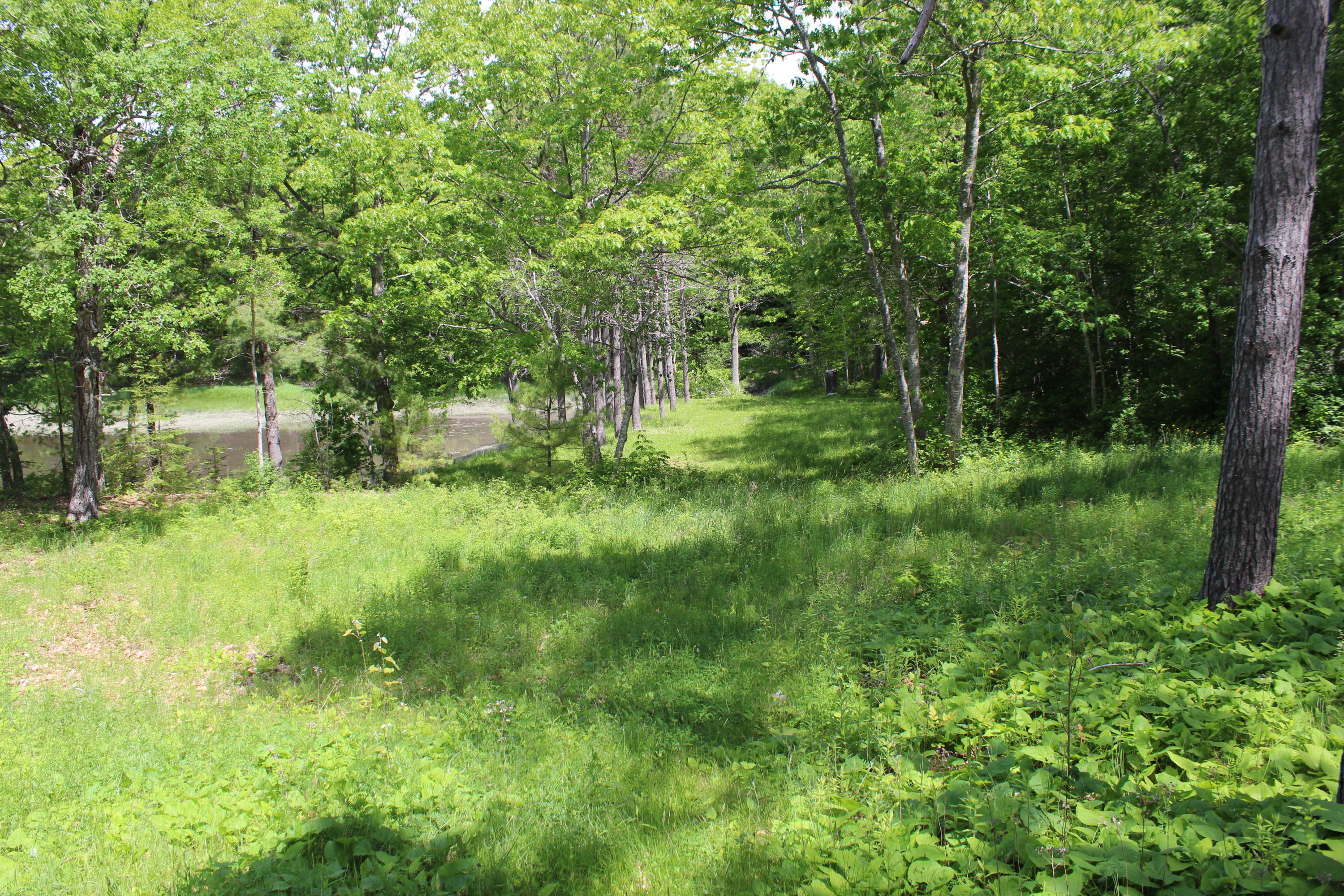 447 Castine Road Orland, ME 04472 - Photo 28 of 92 IMG_7513