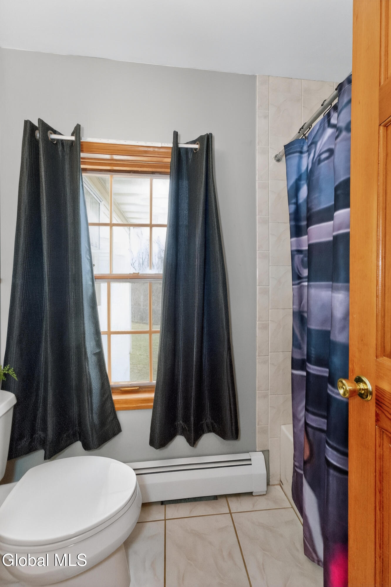 169 Bozenkill Road Altamont, NY 12009 - Photo 37 of 64 9 Bathroom 3