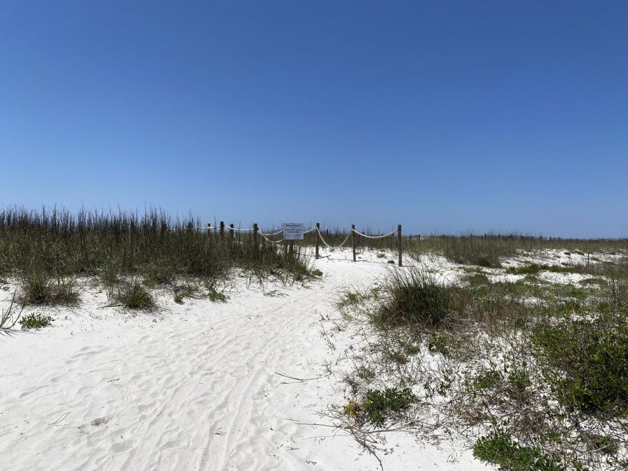 102 South 40th Street, Unit A Port St. Joe, FL 32456 - Photo 5 of 43