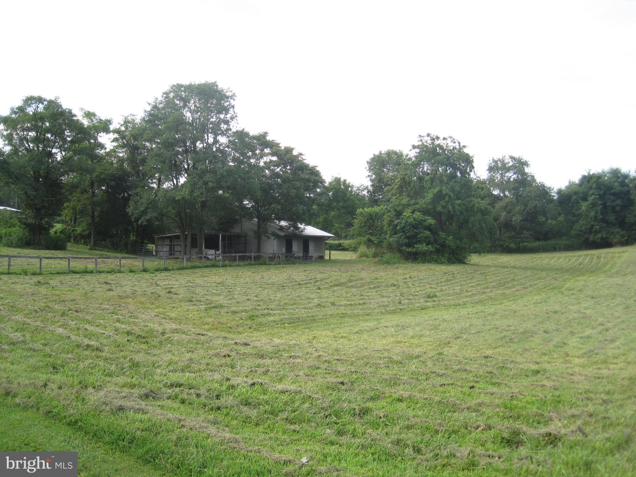 222 Stringtown Road Berryville, VA 22611 - Photo 7 of 29 a backyard of a house with lots of green space