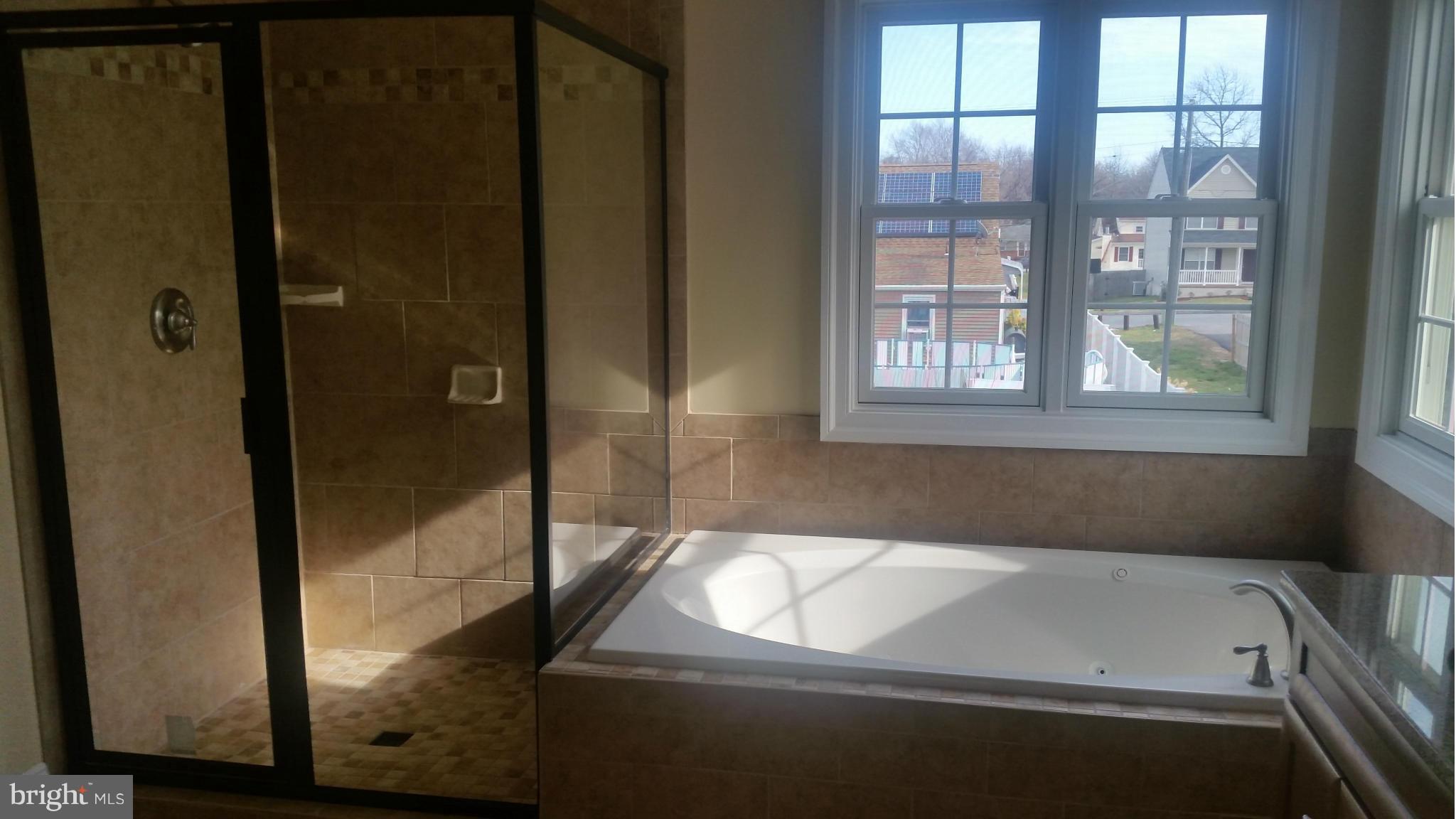257 Harlem Road Pasadena, MD 21122 - Photo 9 of 20 Bath (Master)