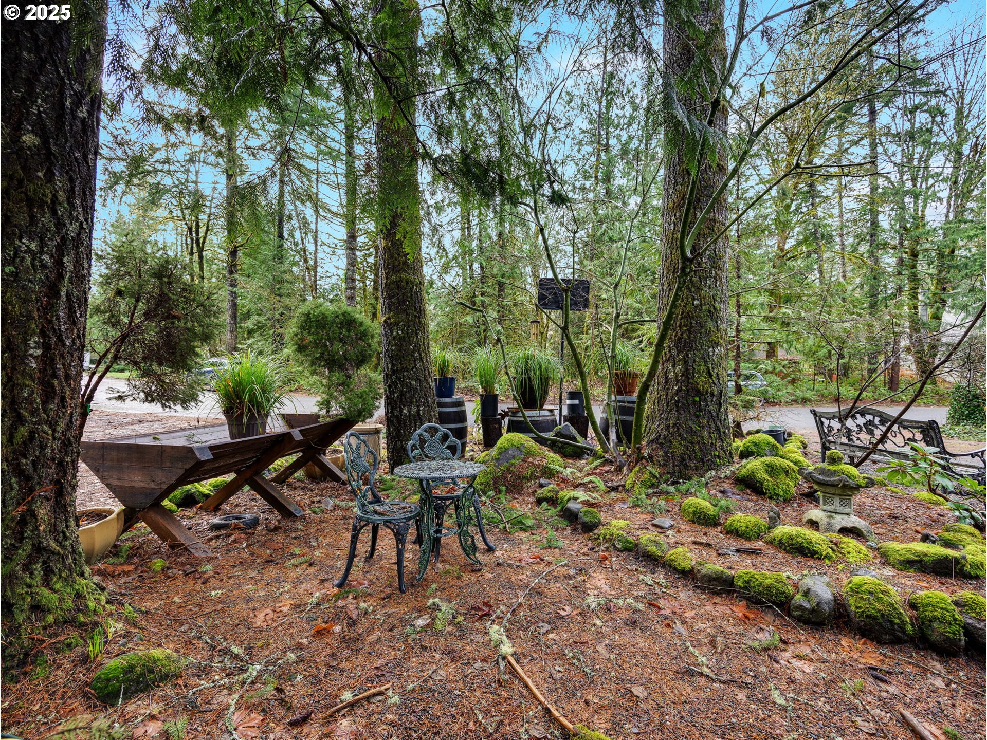 64711 East Sandy River Lane Rhododendron, OR 97049 - Photo 4 of 47 a view of a bench in a garden