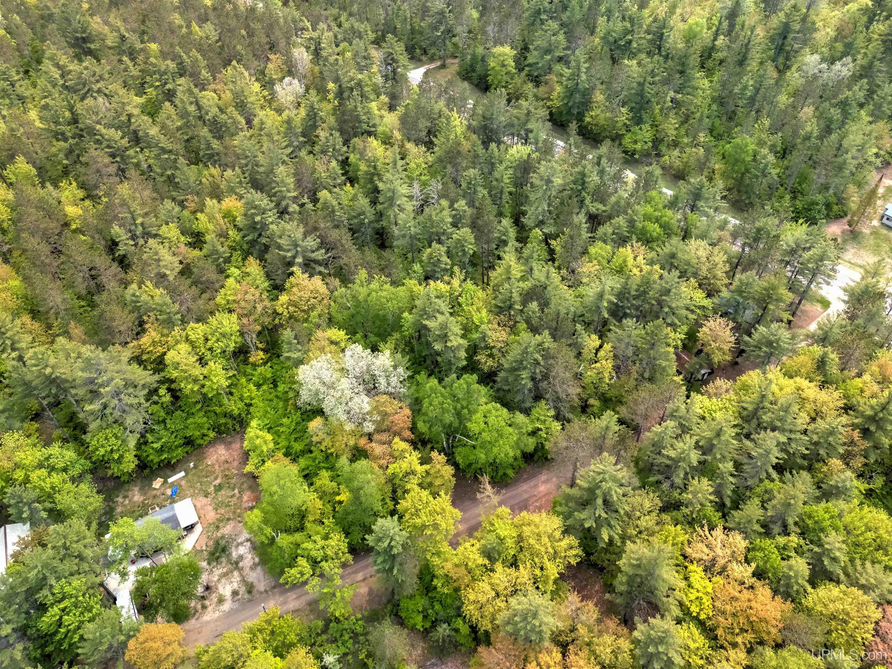 Tbd West Lily Lk Road Manistique, MI 49854 - Photo 2 of 7