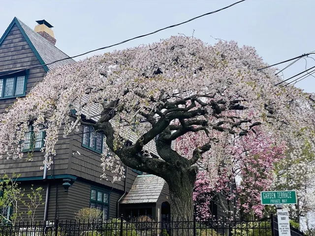 $8,800,000 | 84 Garden Street, Cambridge, MA 02138