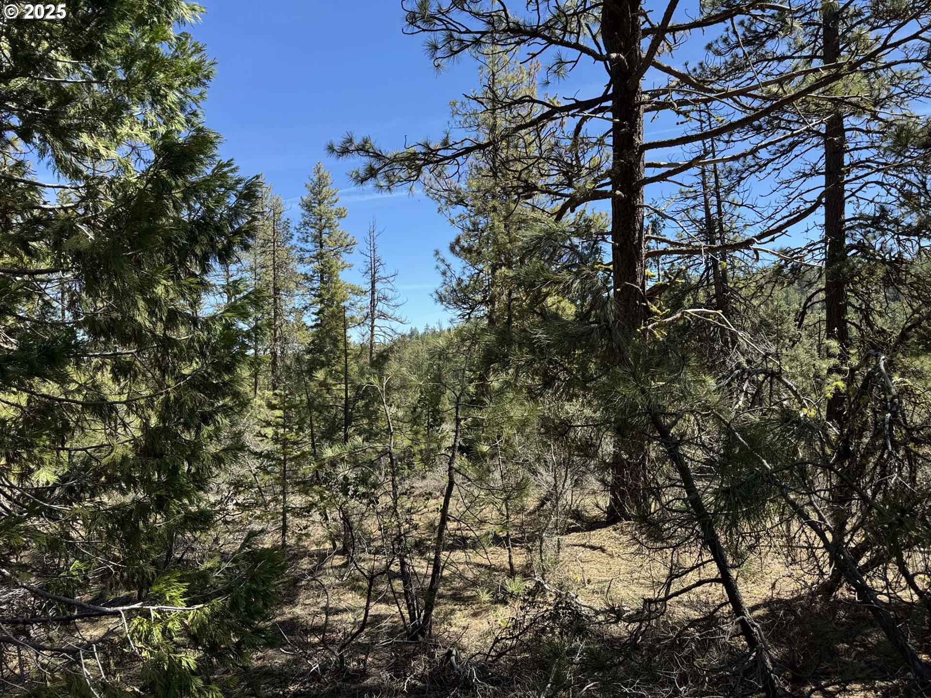 Horned Owl Lane Bonanza, OR 97623 - Photo 31 of 44