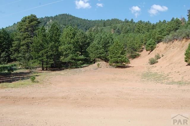 Tbd Tbd Arnold Lane Rye, CO 81069 - Photo 1 of 1