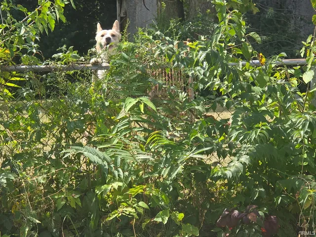 $69,900 | 1712 South Meridian Street, Marion, IN 46953