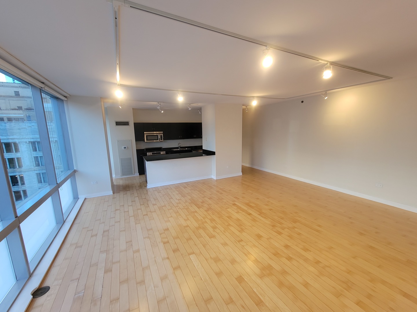 8 East Randolph Street, Unit 1501 Chicago, IL 60601 - Photo 3 of 22