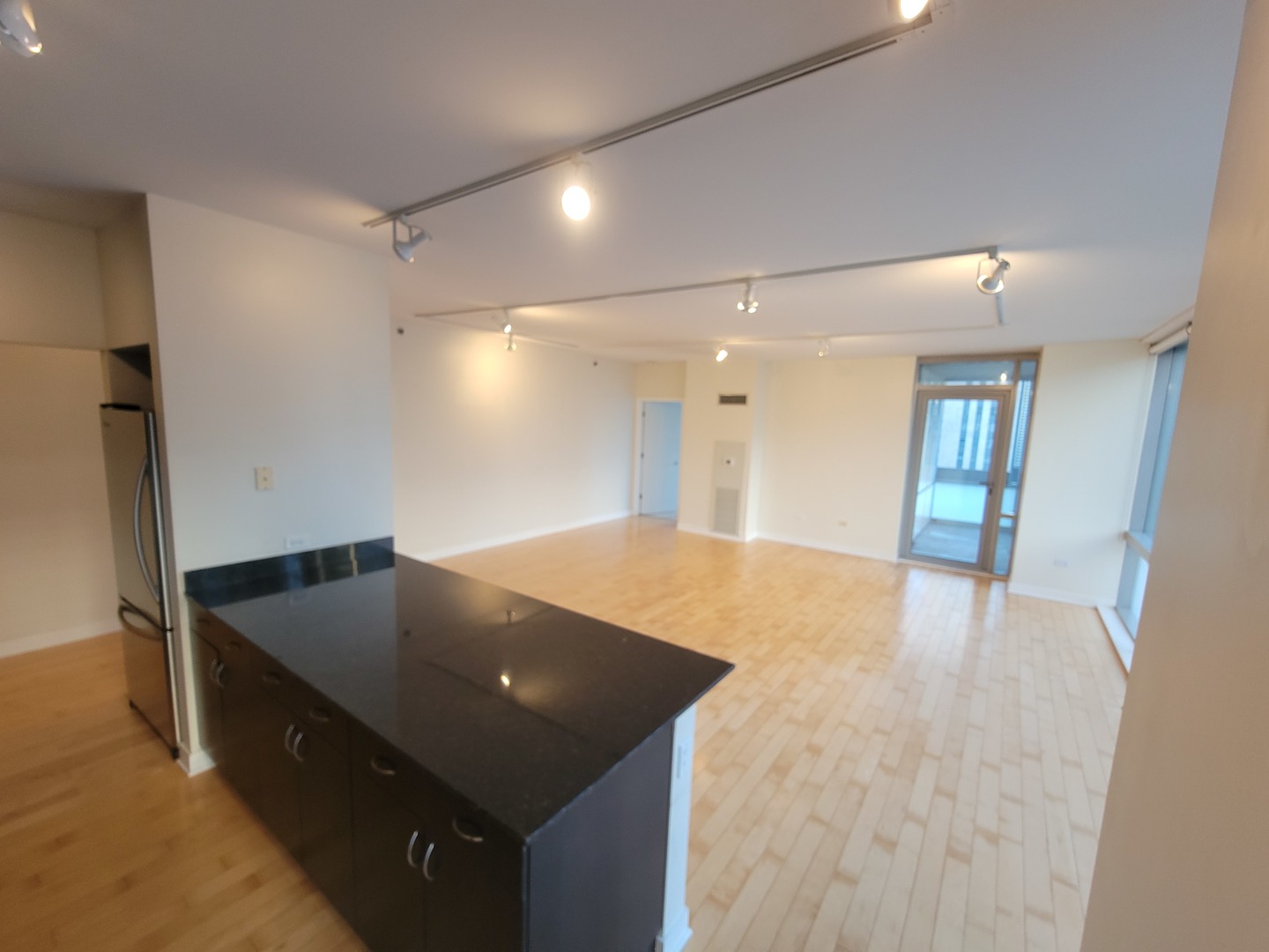 8 East Randolph Street, Unit 1501 Chicago, IL 60601 - Photo 5 of 22