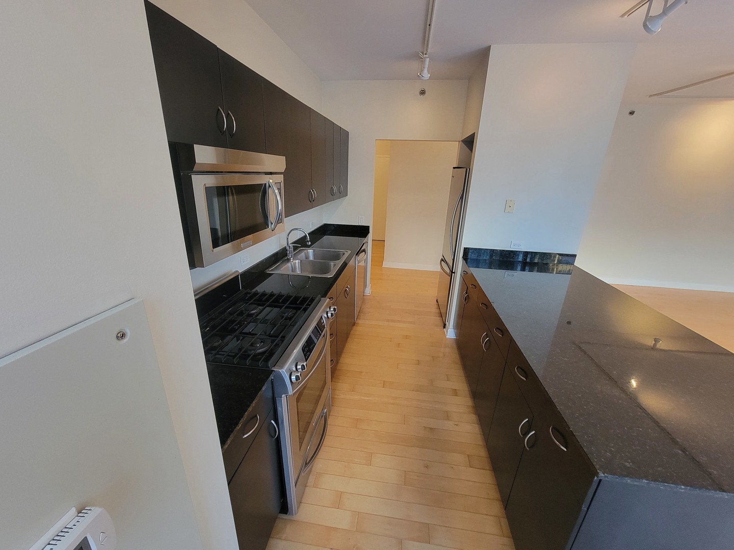 8 East Randolph Street, Unit 1501 Chicago, IL 60601 - Photo 6 of 22