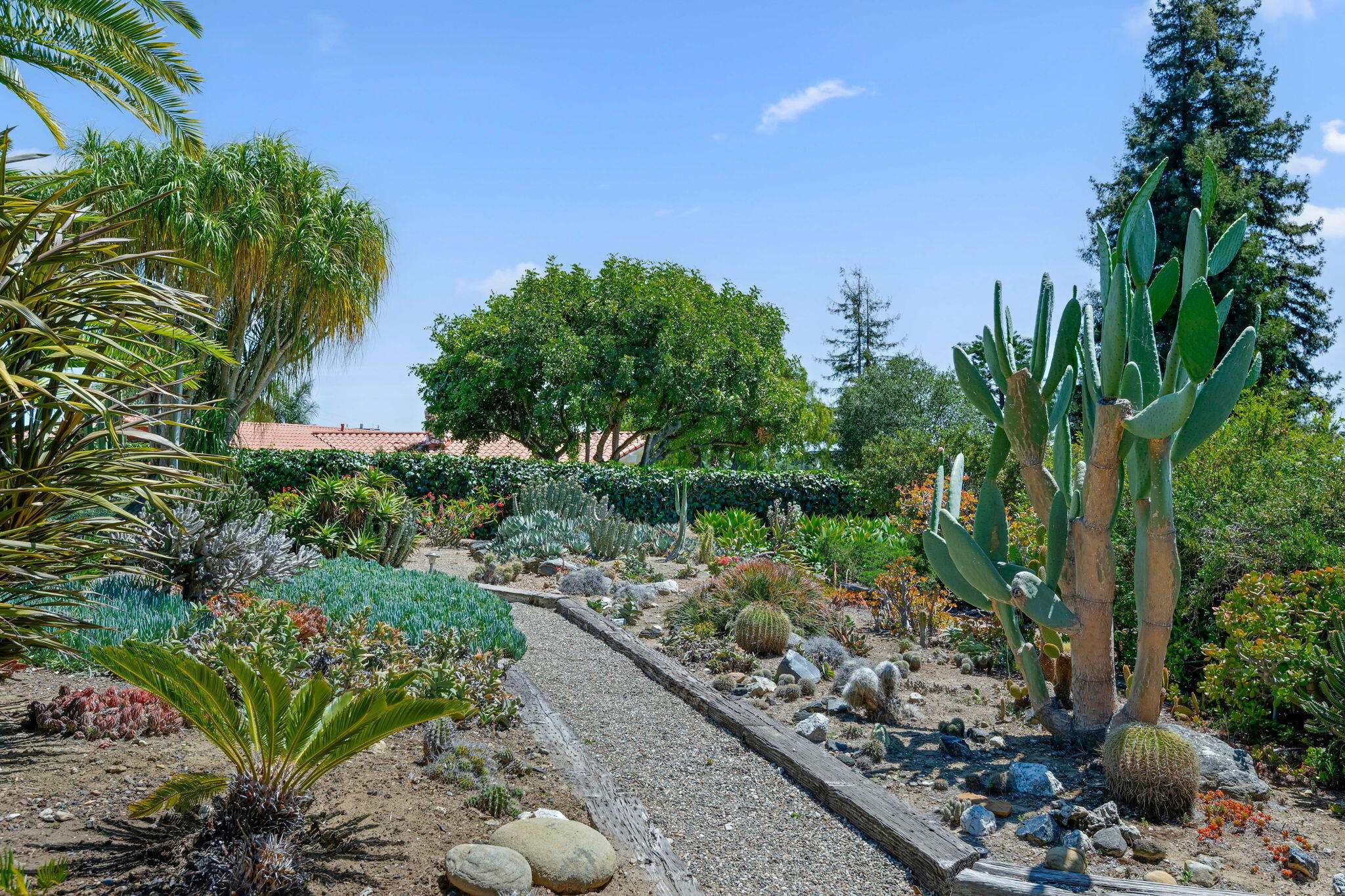 1400 Holiday Hill Road Goleta, CA 93117 - Photo 35 of 56 36-Rear Gardens
