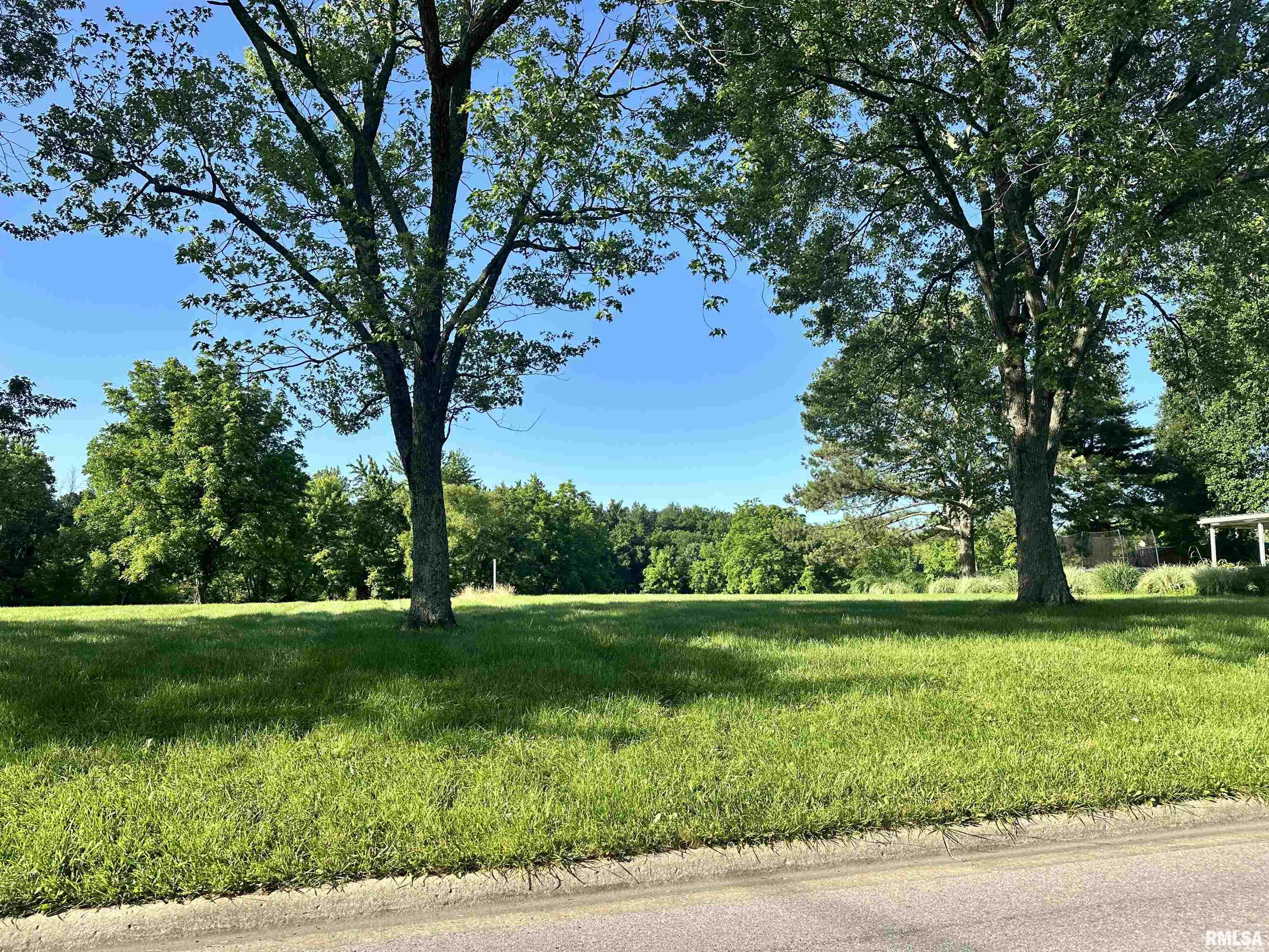 0 Brady Mill Road Anna, IL 62906 - Photo 2 of 3 Gallery Image 2