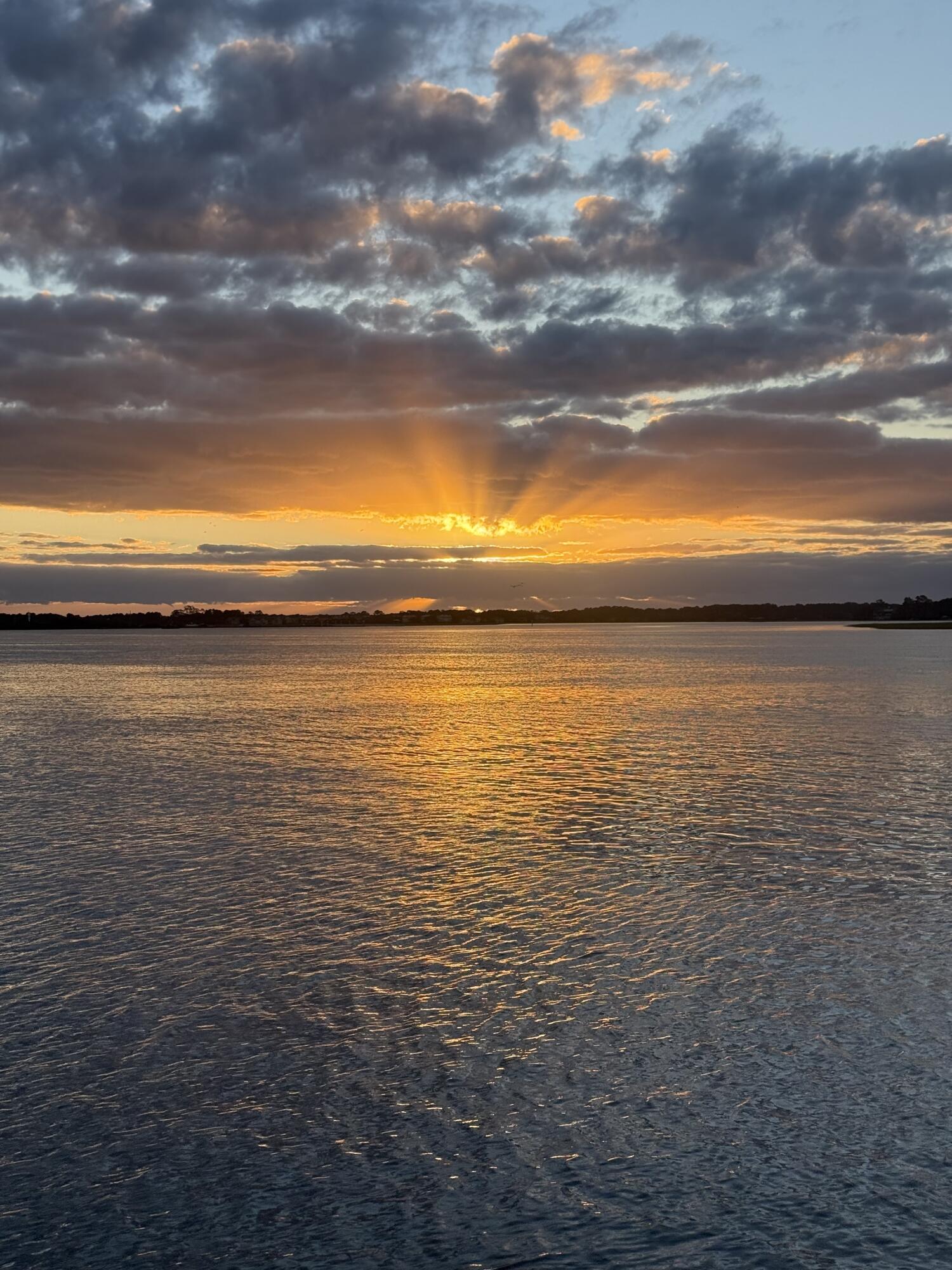 2518 Grace Chapel Road Wadmalaw Island, SC 29487 - Photo 5 of 75 IMG_0480 copy