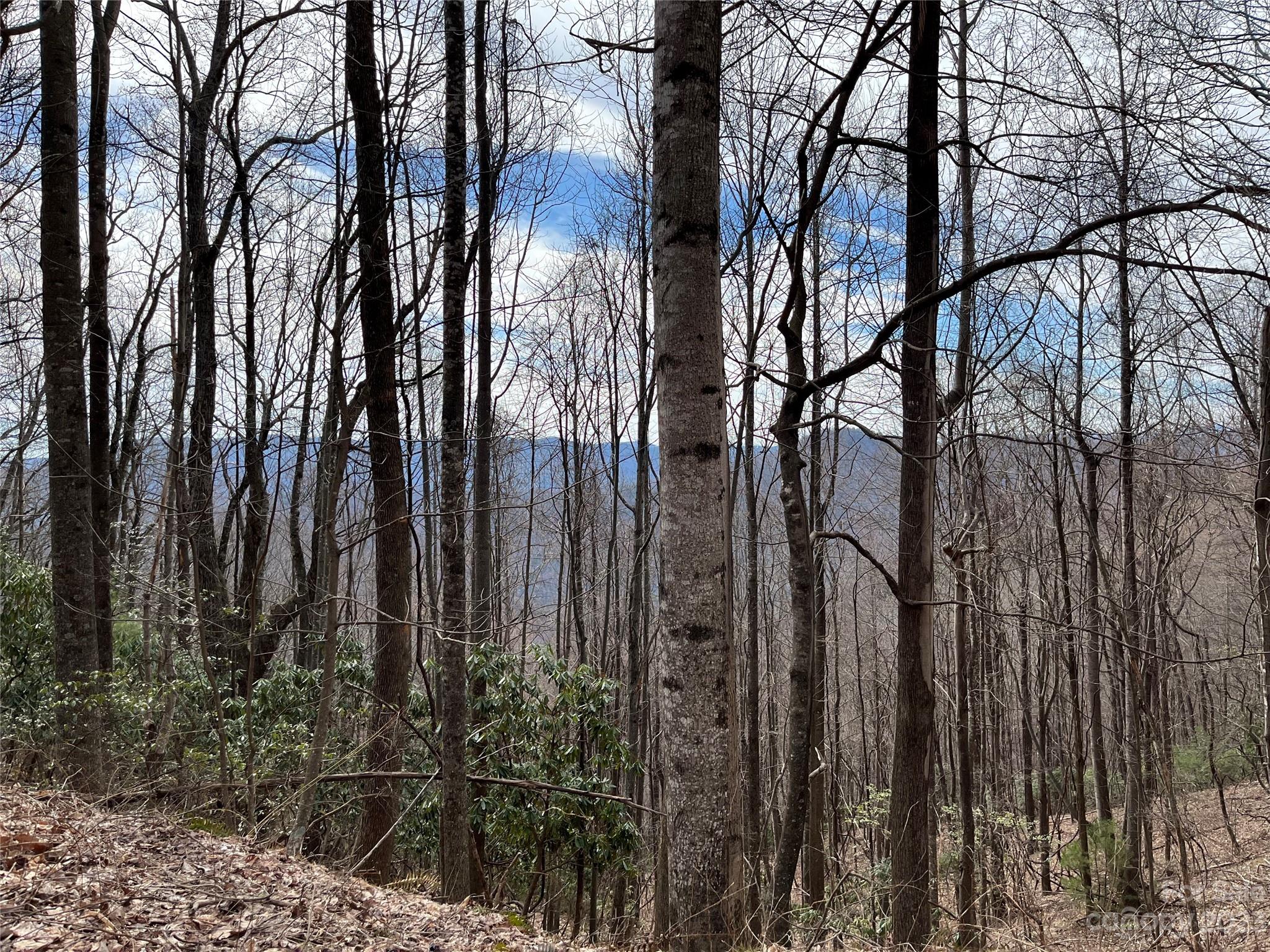 Tbd Sheets Gap Road Millers Creek, NC 28651 - Photo 1 of 15 a view of outdoor space with a garden