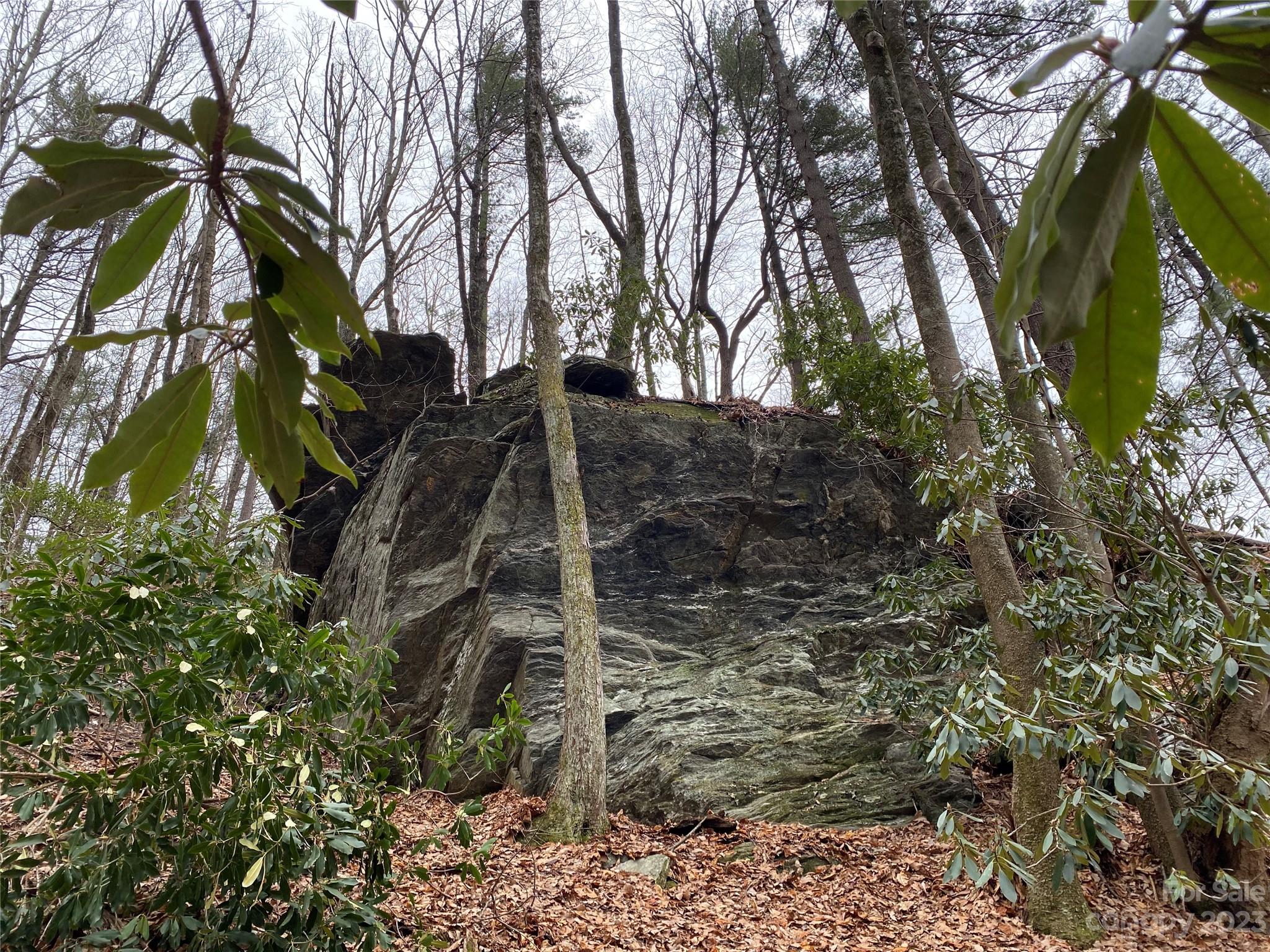 Tbd Sheets Gap Road Millers Creek, NC 28651 - Photo 12 of 15 a view of a yard