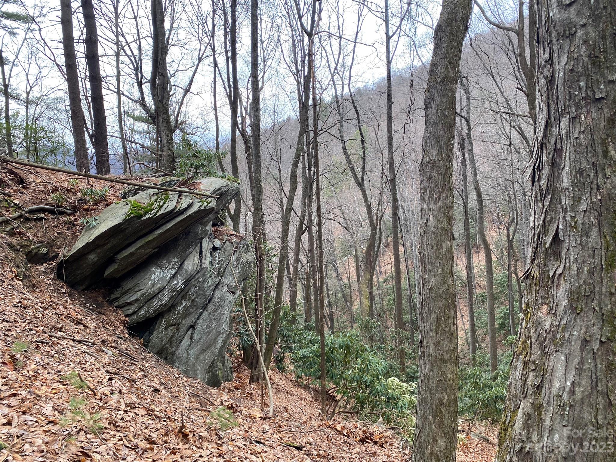 Tbd Sheets Gap Road Millers Creek, NC 28651 - Photo 13 of 15 a view of a backyard of the house