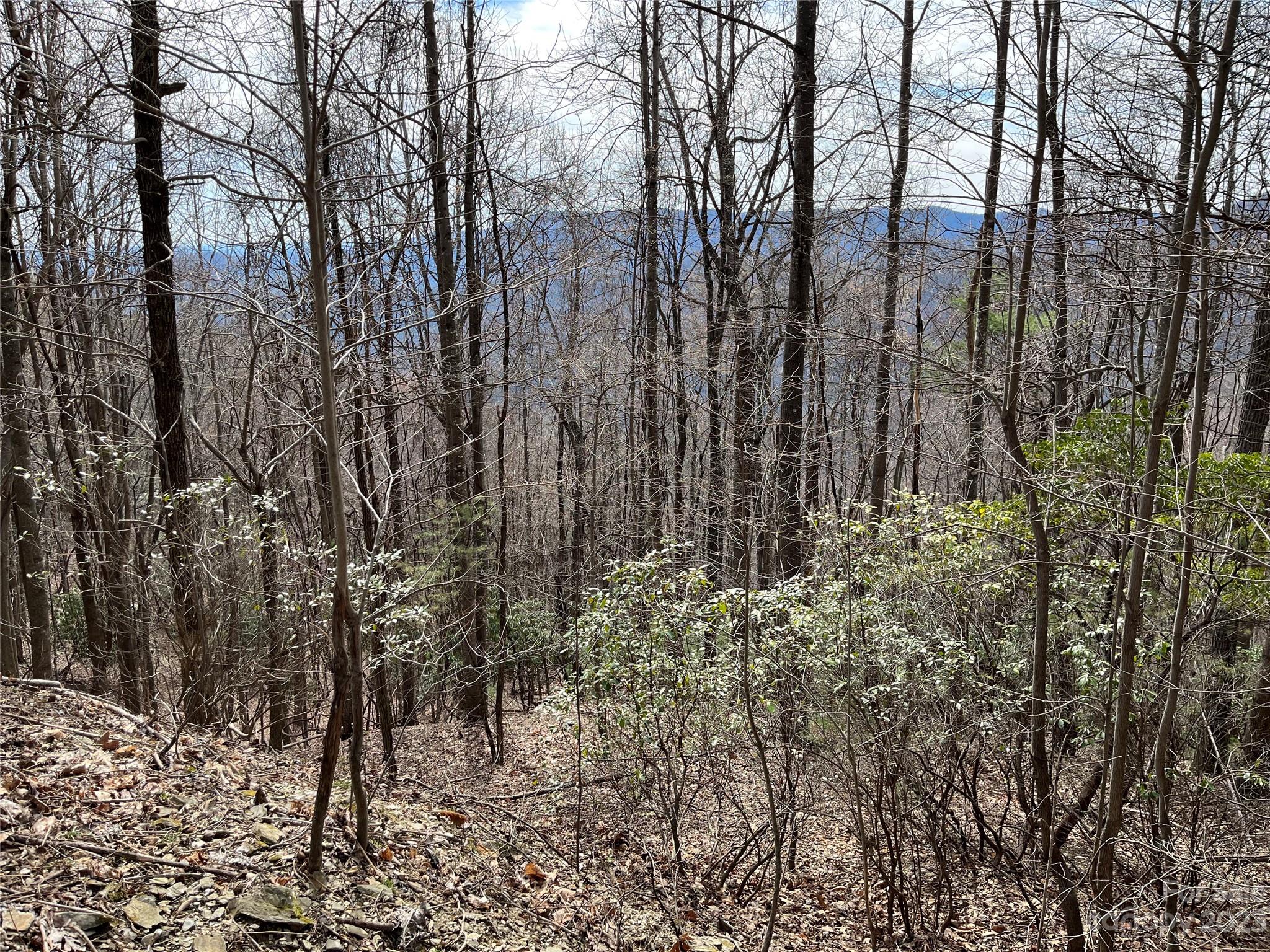 Tbd Sheets Gap Road Millers Creek, NC 28651 - Photo 4 of 15 a view of forest